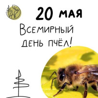 Всемирный день пчёл Всемирный день пчёл.
