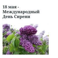 День сирени День сирени.