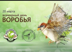 Международный день воробья Международный день воробья.