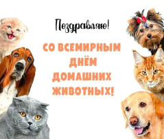 Всемирный день домашних животных Всемирный день домашних животных.
