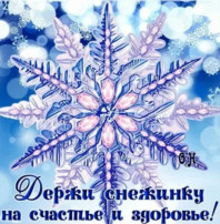 День снежинки День снежинки.