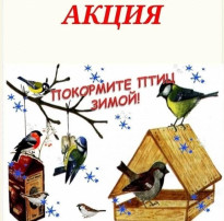 Поможем птицам зимой Поможем птицам зимой.