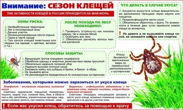 Сезон клещей открыт Сезон клещей открыт.